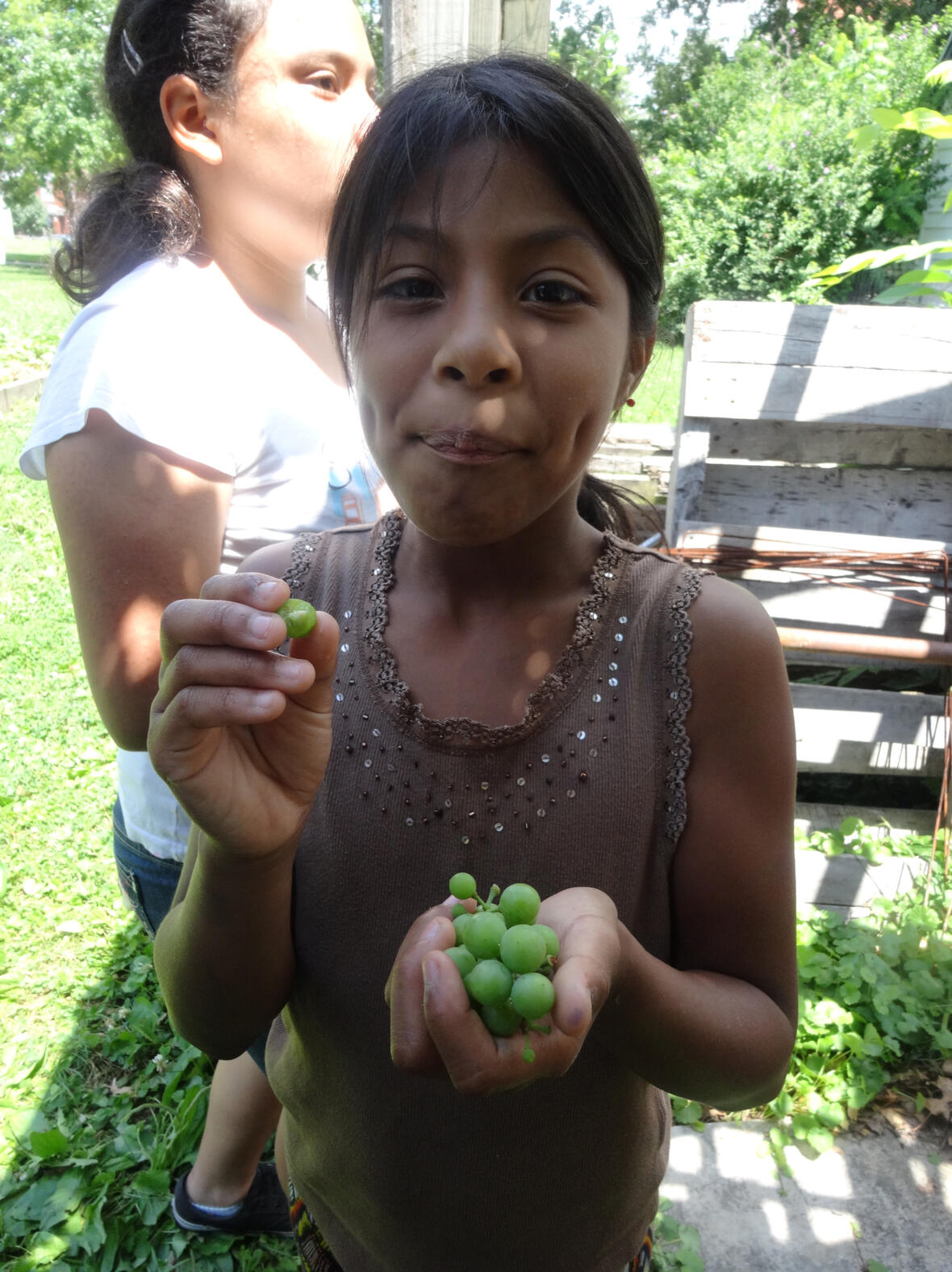 The grape arbor bears fruit